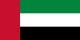 Dubai (BAE) bayrağı